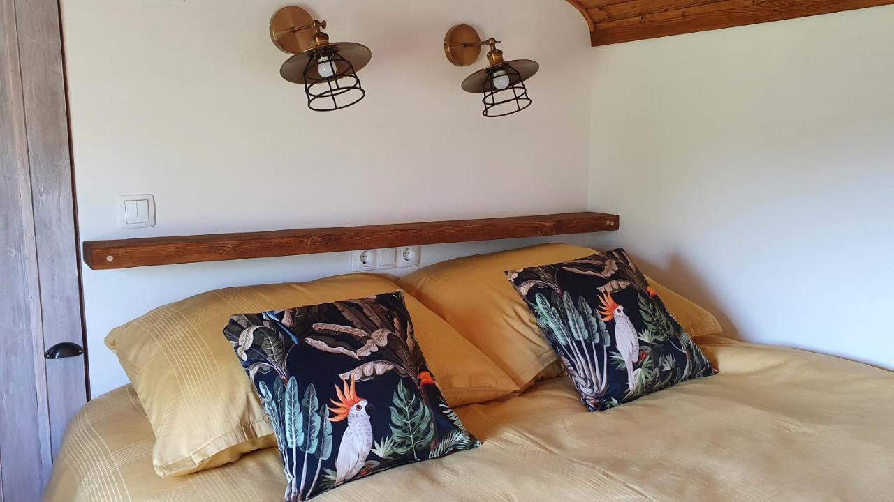 Tisza White House Bed and Breakfast Tiszaszolos Rum bild