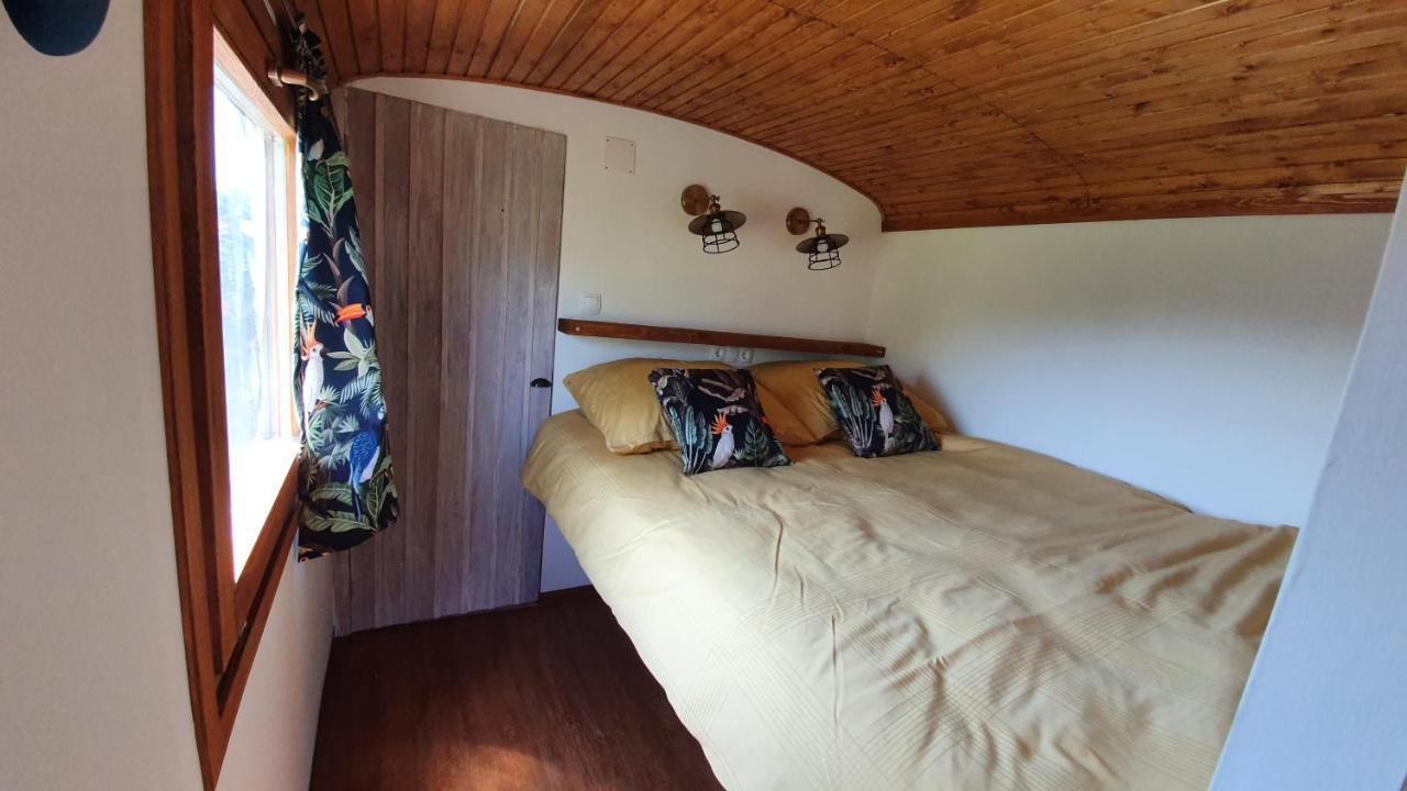Tisza White House Bed and Breakfast Tiszaszolos Exteriör bild