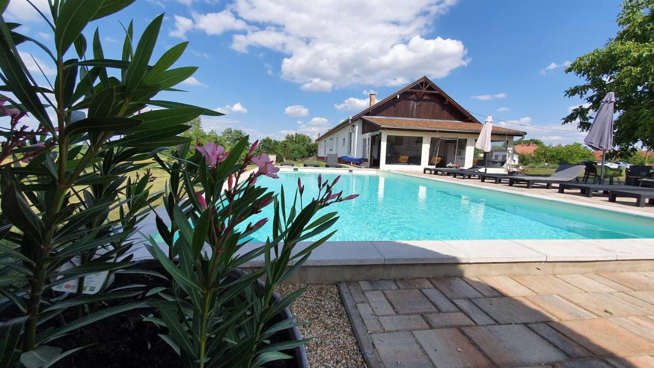 Tisza White House Bed and Breakfast Tiszaszolos Exteriör bild