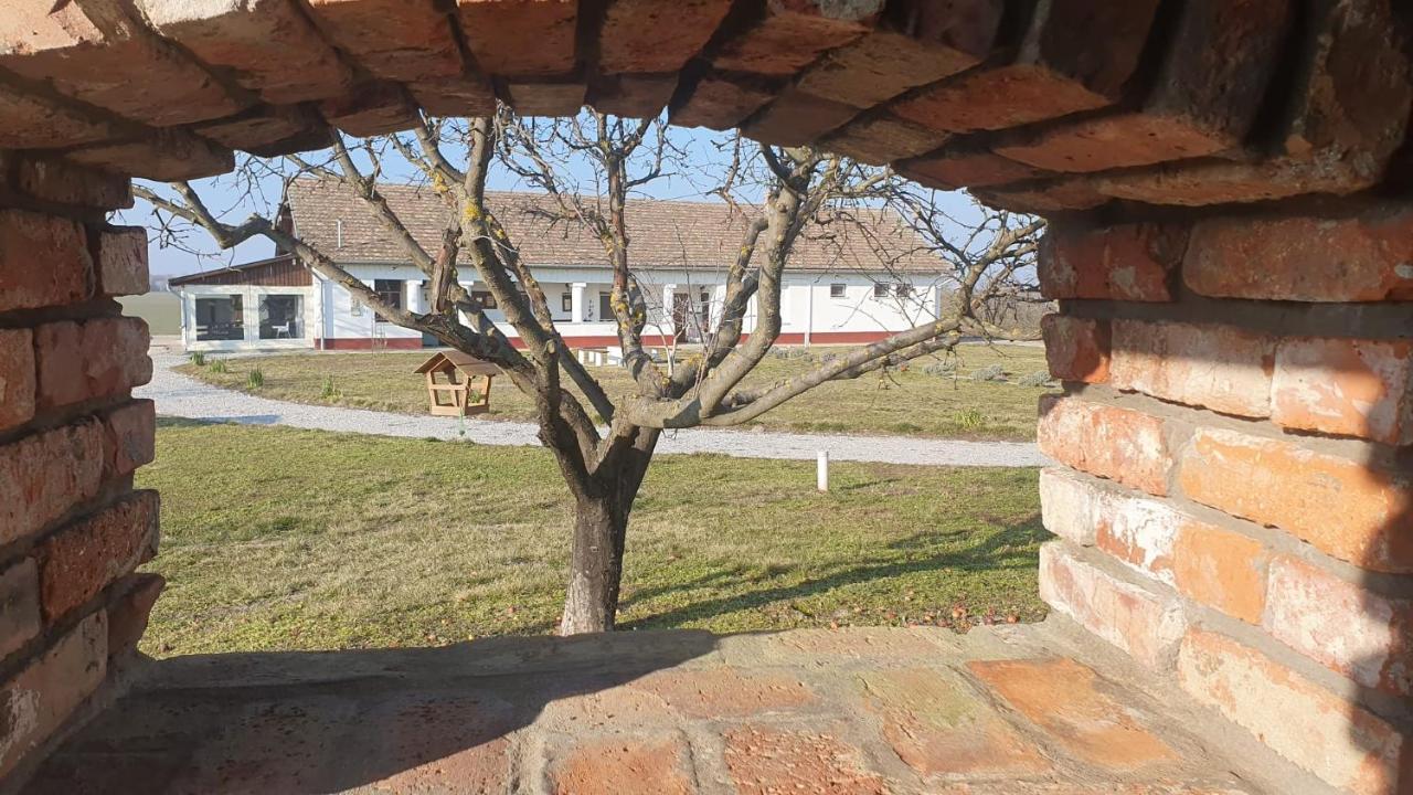 Tisza White House Bed and Breakfast Tiszaszolos Exteriör bild