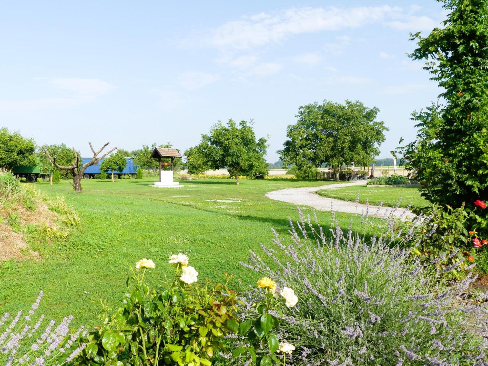 Tisza White House Bed and Breakfast Tiszaszolos Exteriör bild